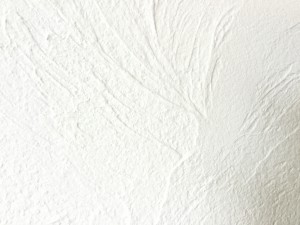 IMG_0582