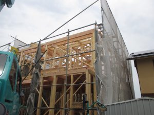 IMG_3018
