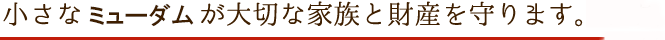 小さなアルミニウムSFが大切な家族と財産を守ります。